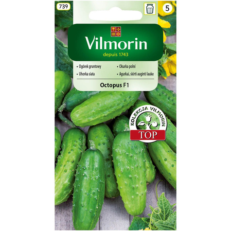 ZESTAW ALLEGRO Ogórek gruntowy Octopus mieszaniec f1 1,5g