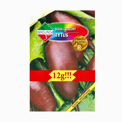 Burak ćwikłowy Tytus 12g