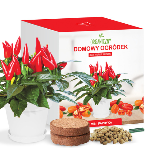 Zestaw do uprawy Mini Papryki w doniczce
