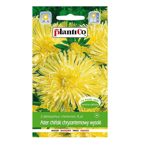 Aster chiński chryzantemowy wysoki jasnożółty 1g