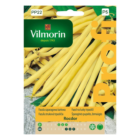 Fasola szparagowa żółta karłowa bezłykowa Rocdor 30g