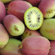 MINI KIWI Aktinidia ostrolistna Weiki żeńska