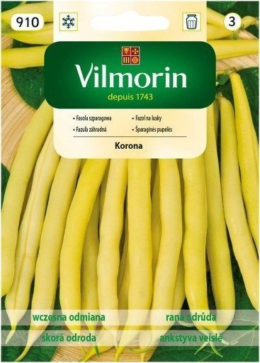 Fasola szparagowa żółta karłowa bezłykowa Korona 30g