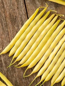 Fasola szparagowa żółtostrąkowa tyczna bezłykowa Ramdor 10g