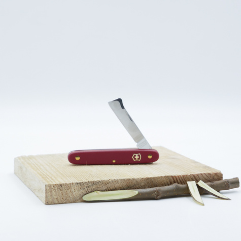 Nóż do przeszczepiania i okulizacji