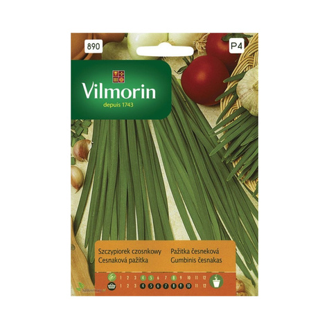 Szczypiorek czosnkowy aromatyczny 1,0 g