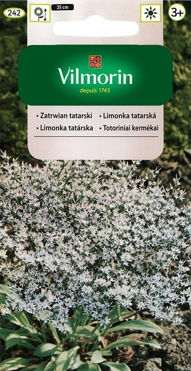 Zatrwian tatarski biały 0,2g Vilmorin