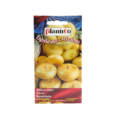 Cebula żółta Borettana włoska 2g