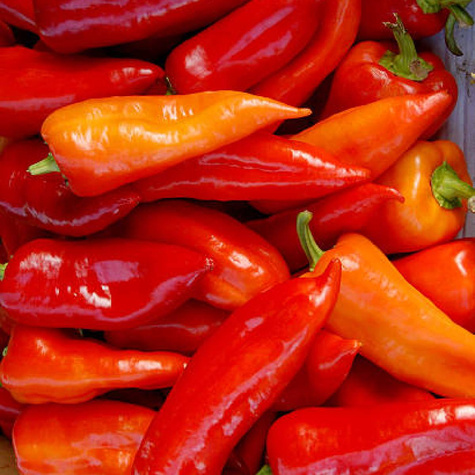 Papryka mieszanka odmian słodkich 0,5g WegAna