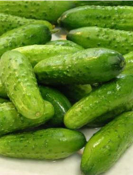 Ogórek gruntowy Śremski konserwowy kwaszeniak 5g