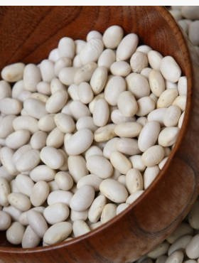 Fasola karłowa na suche ziarno Felicja typ Piękny Jaś 40g