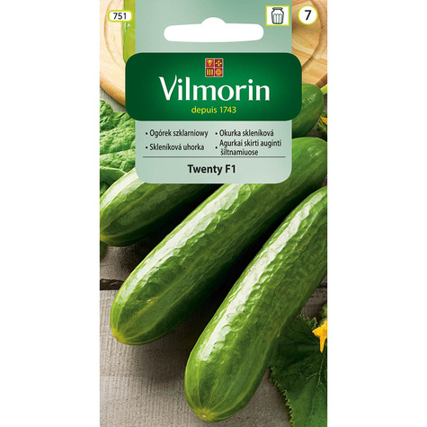 Ogrórek szklarniowy krótkowocowy Twenty F1