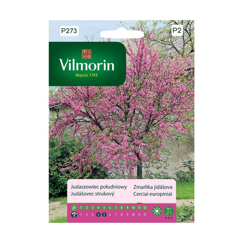 Judaszowiec południowy 1g