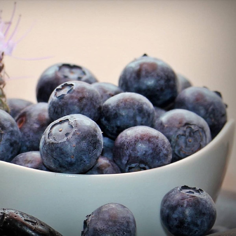 Borówka amerykańska Earliblue wczesna (C5)