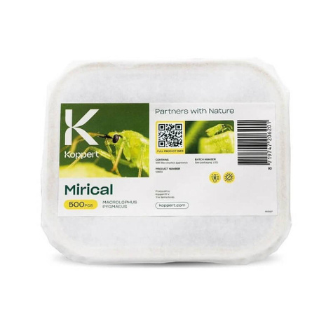 MIRICAL-N Dziubałeczek mączlikowy 500 szt nimfy 