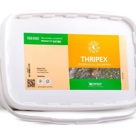 Dobroczynek wielożerny Thripex 100.000 wiadro 6l 