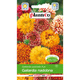 Gailardia nadobna mieszanka 0,5 g