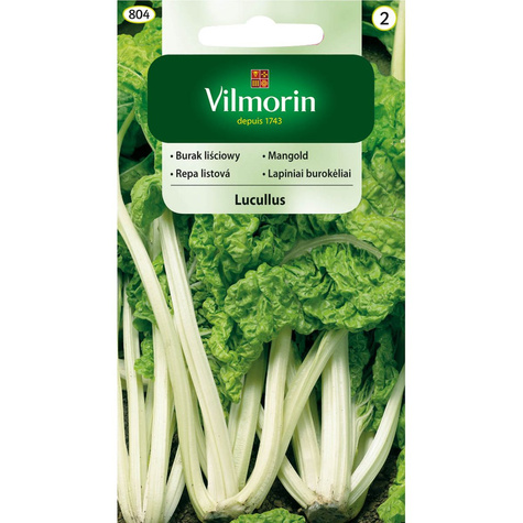 Burak liściowy Lucullus 10g