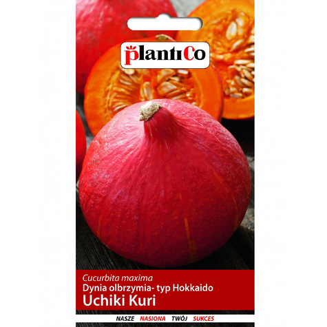 Dynia zwyczajna olbrzymia Uchiki Kuri typ Hokkaido 3g