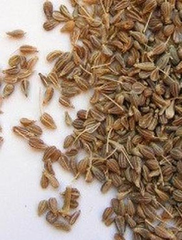 Anyż BIEDRZENIEC nasiona 30g