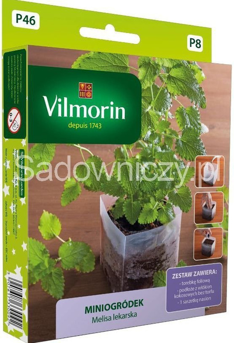 Miniogródek Melisa lekarska Vilmorin 0,3g