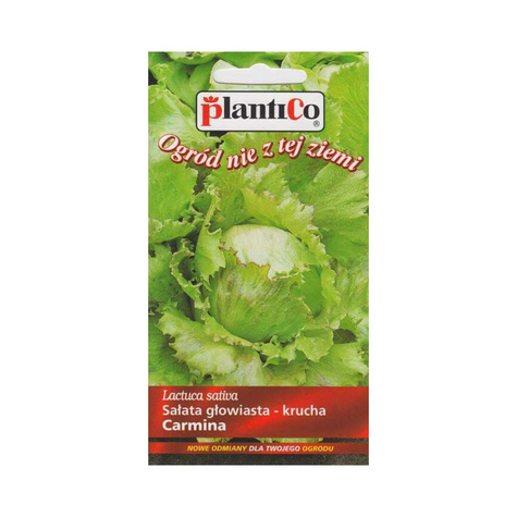 Sałata głowiasta krucha Carmina 0,5g