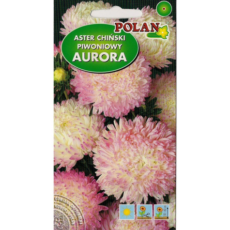 Aster peoniowy Aurora biało-różowy 1g