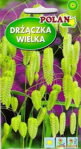 Trawa ozdobna- Drżączka 1g polan