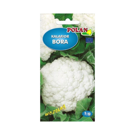 ZESTAW ALLEGRO Kalafior BORA 1g