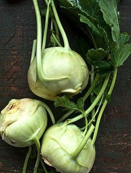 Kalarepa Delikates Biała średniowczesna 2g