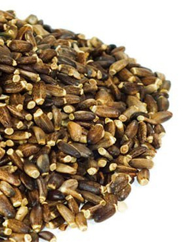 Ostropest Plamisty Owoc 100g POLSKA ziarno