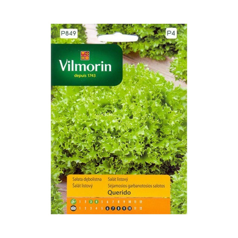 Sałata dębolistna Querido 0,5g