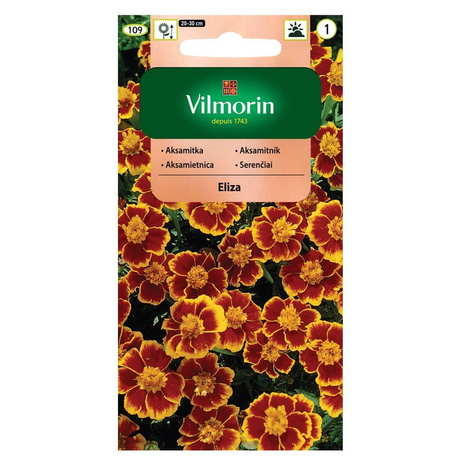 Aksamitka rozpierzchła pojedyncza Eliza 1g