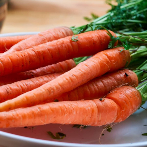 Nasiona otoczkowane Marchew jadalna Pierwszy zbiór wczesna 400 ziaren