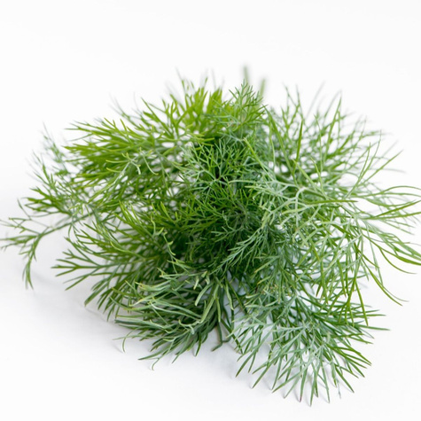 Koper ogrodowy Skaner średnio późny 500g