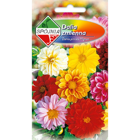 Dalia zmienna mix 1g Spójnia