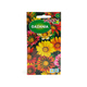 Gazania mix kolorów 1g Polan
