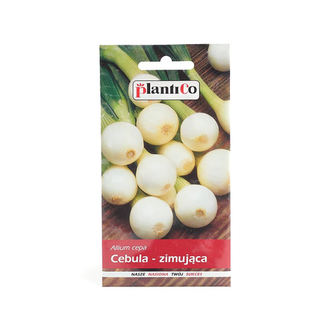 Cebula żółta Hiberna Zimująca 3g