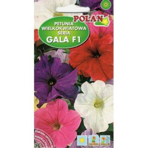Petunia wielkokwiatowa Gala amarantowo-różowa mieszaniec 0,1g