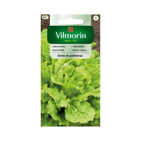 Sałata krucha Doree de Printemps odporna 1g