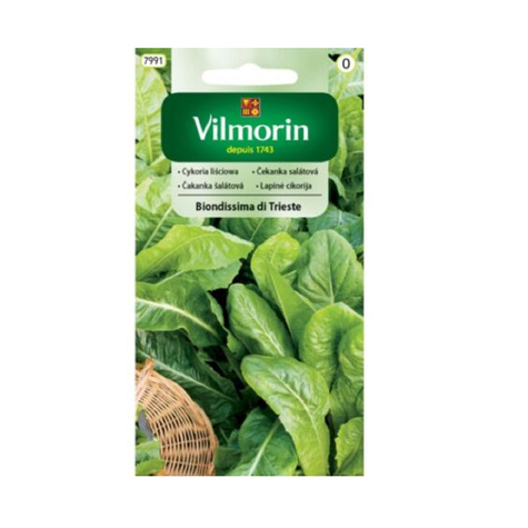 Cykoria liściowa Biondissima di Trieste 3g