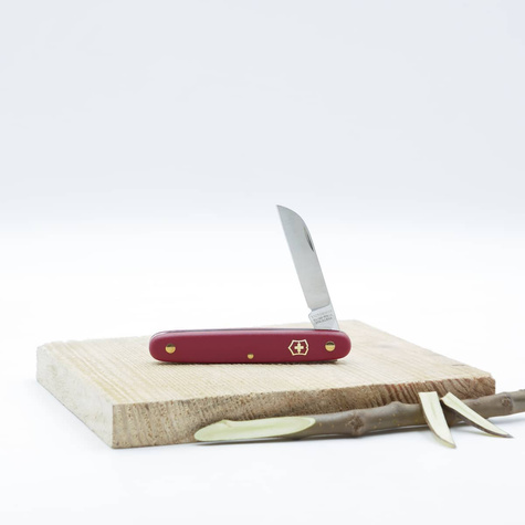 Nóż do przeszczepiania z prostym ostrzem