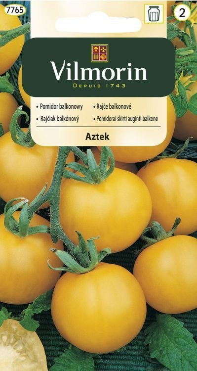 Pomidor gruntowy karłowy Aztek koktajlowy 0,3g