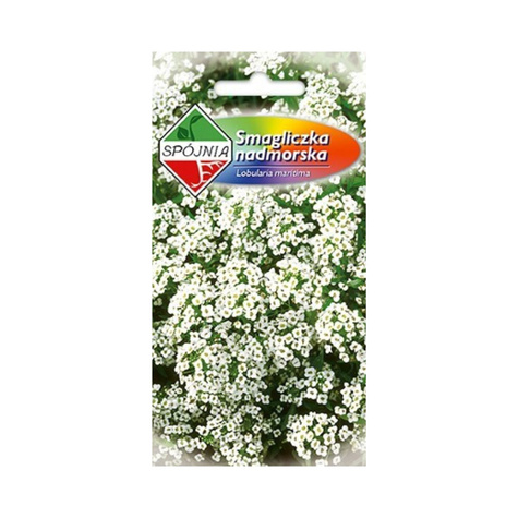 Smagliczka nadmorska biała 0,5g Spójnia