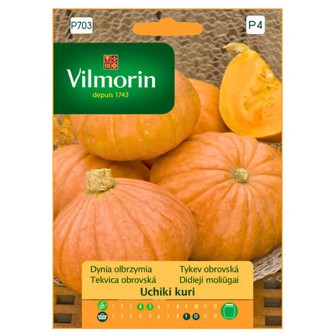 Dynia zwyczajna olbrzymia Uchiki kuri 3g