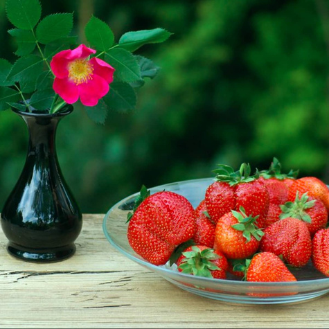 Zestaw Truskawka Elsanta FRIGO 10szt