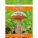 Grzybnia mikoryzowa Koźlarz babka 60 ml