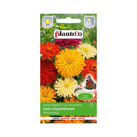 Cynia wytworna chryzantemowa mieszanka Plantico 1g