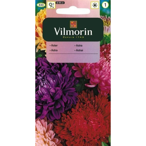 Aster chiński peoniowy mix + 50% GRATIS 1,5g Vilmorin