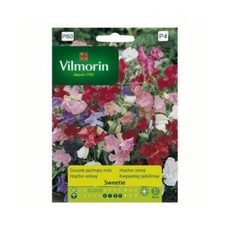 Groszek pachnący niski Sweetie